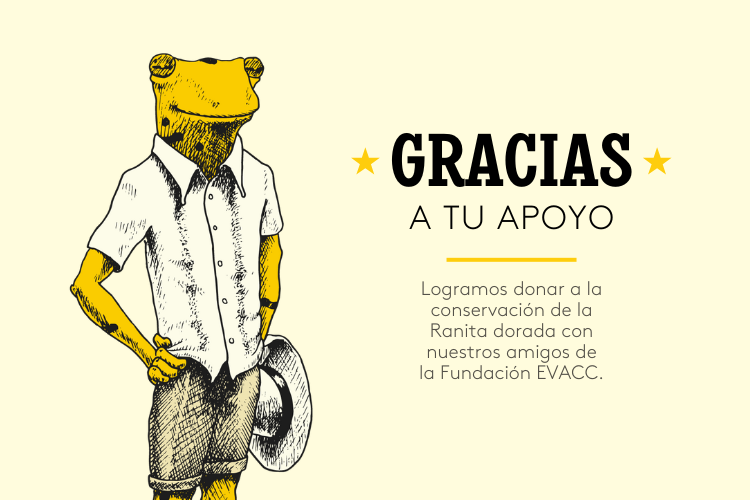 Donación para la conservación de la Ranita Dorada