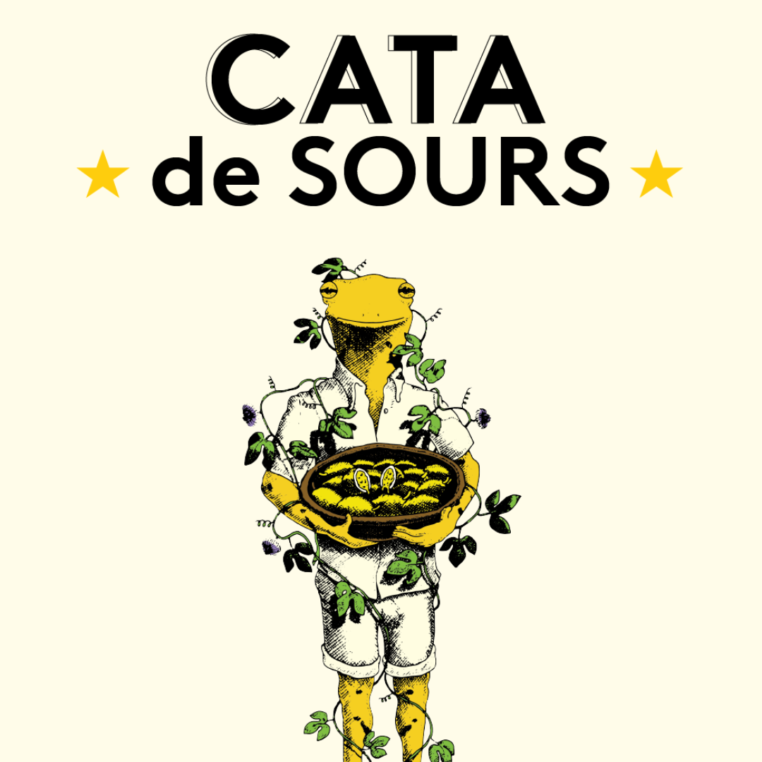 Cata de 4 Cervezas Sours